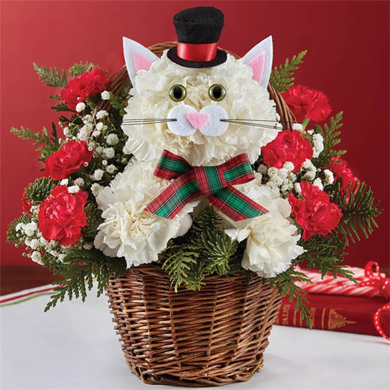 Christmas shop flower deals
