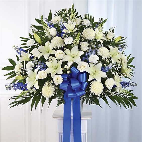 148708L_HR_fd_04_28_17