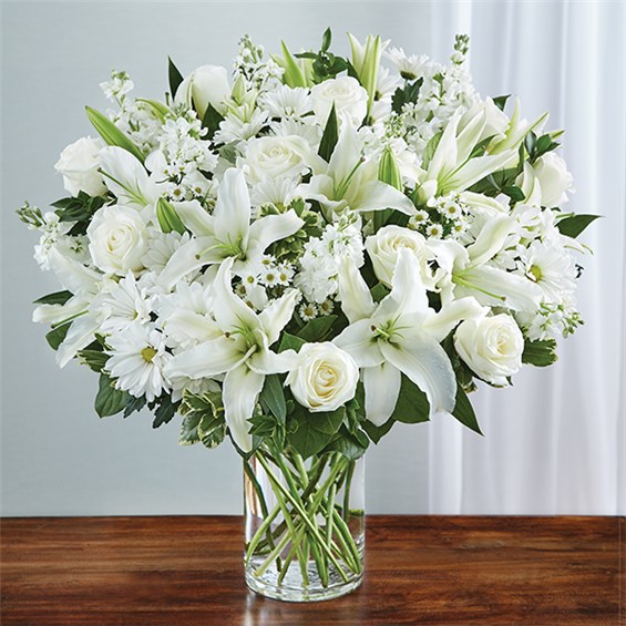 95380L_HR_fd_05_25_17